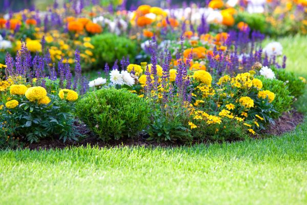 Flower Bed Maintenance in Poulsbo