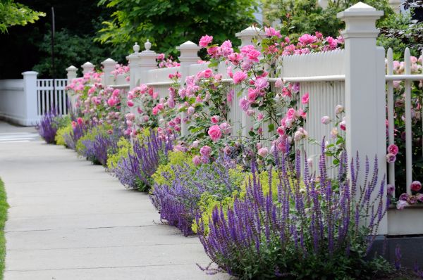 Garden Handyman Service in Poulsbo
