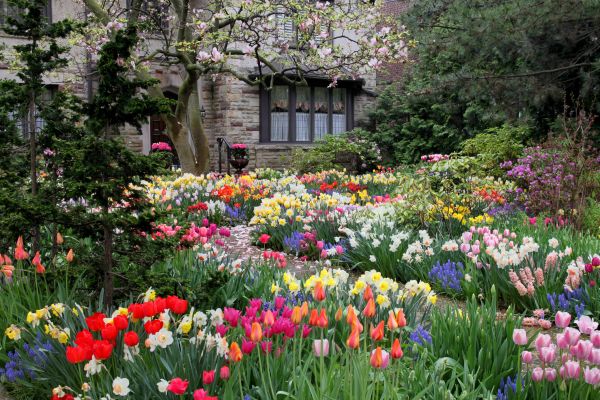 Garden Maintenance Service in Poulsbo