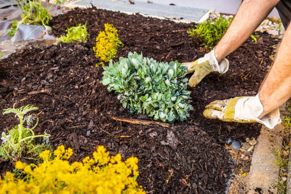 Weeding And Mulching in Poulsbo