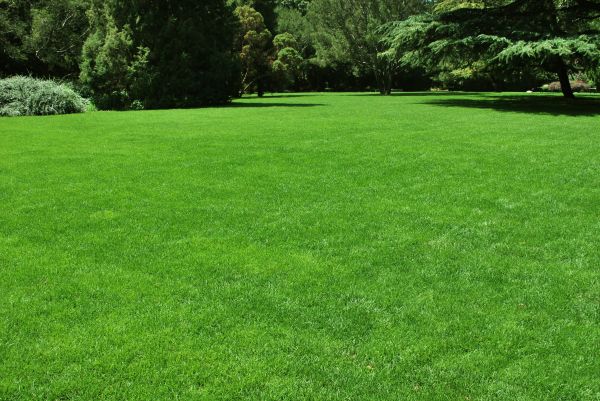 Lawn Landscaping in Poulsbo