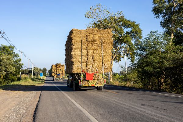 Pine Straw Delivery in Poulsbo