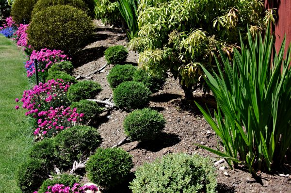 Residential Gardening in Poulsbo