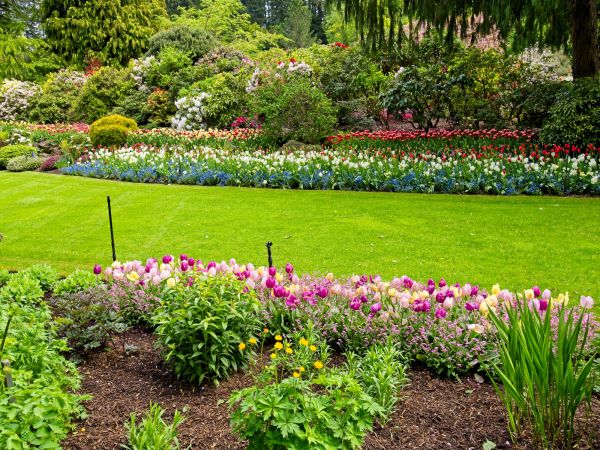 Residential Landscape Design in Poulsbo