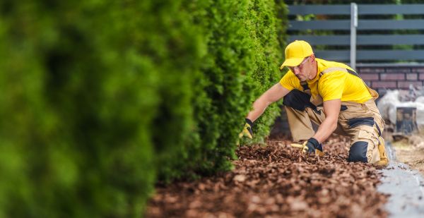 Cypress Mulch Installation in Poulsbo
