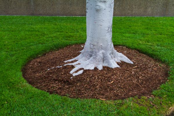 Brown Mulch Installation in Poulsbo