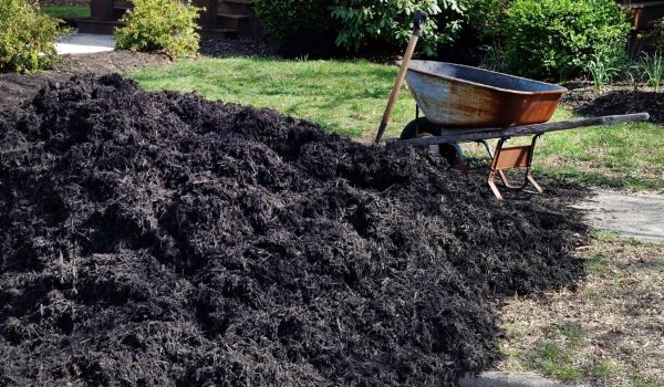 Black Mulch Installation in Poulsbo