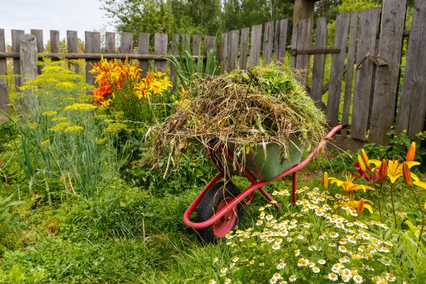 Garden Cleanup Service in Poulsbo