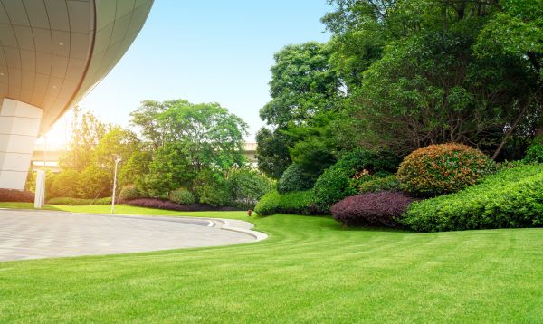 Business Landscape Design in Poulsbo