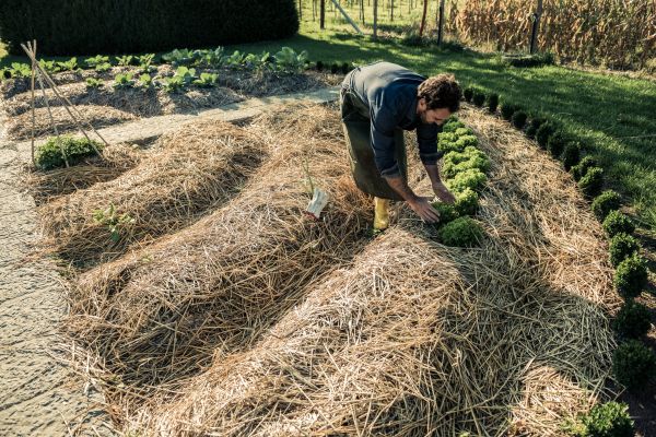 Straw Mulching Service in Poulsbo