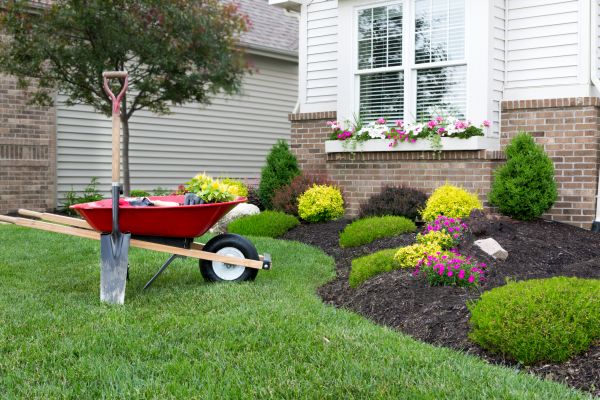 Tree And Shrub Planting in Poulsbo