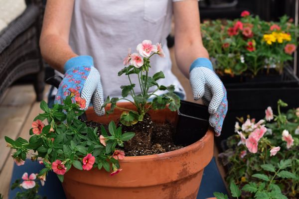 Plant Care Service in Poulsbo