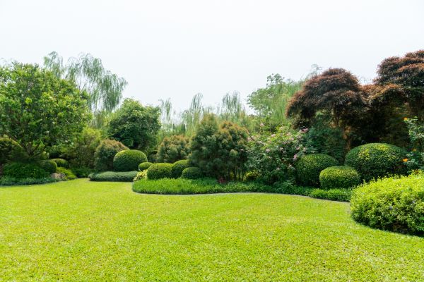 Tree Landscaping in Poulsbo