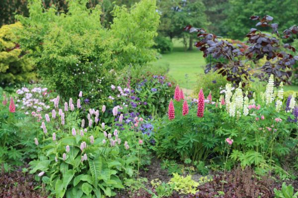Flower Bed Planting in Poulsbo
