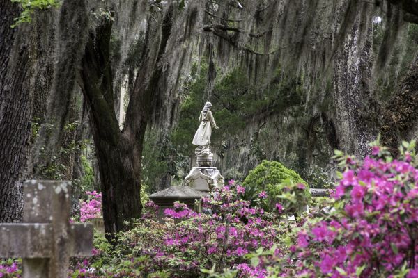 Cemetery Landscaping in Poulsbo