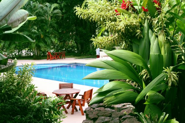 Tropical Garden Landscaping in Poulsbo