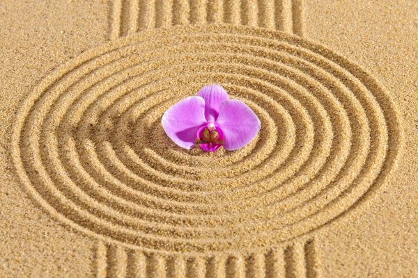 Sand Garden Landscaping in Poulsbo