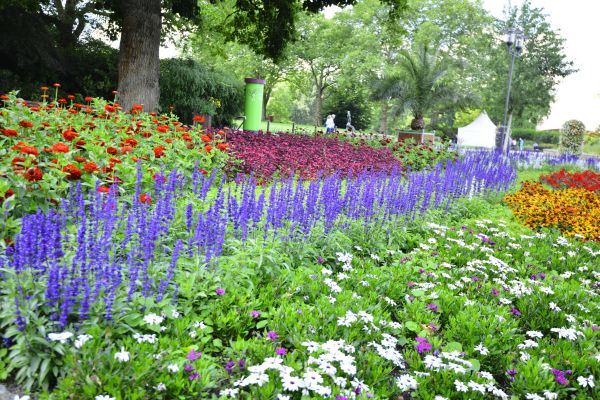 Perennials Planting in Poulsbo