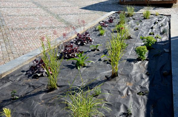 Landscape Fabric Installation in Poulsbo