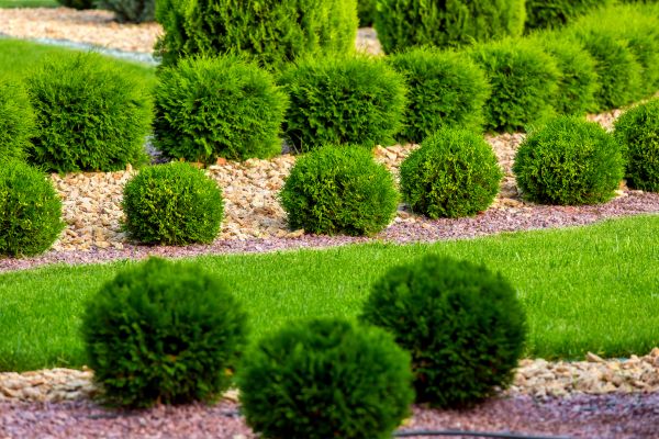 Bush Installation in Poulsbo