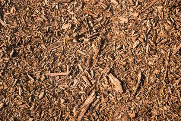 Wood Chips Removal in Poulsbo