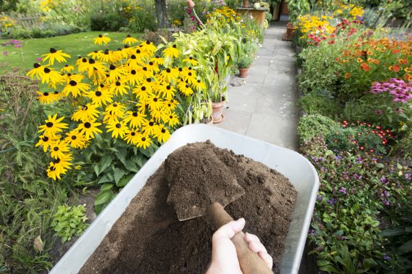 Topsoil Replacement in Poulsbo