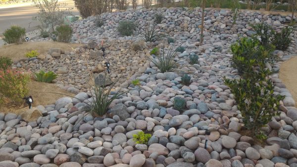 Yard Xeriscaping in Poulsbo