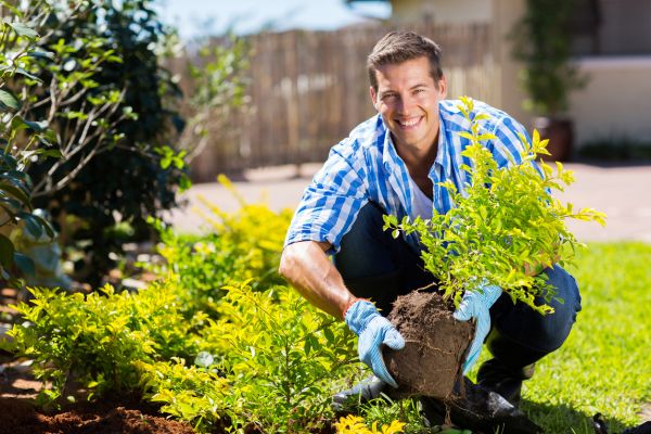 Shrub Landscaping in Poulsbo