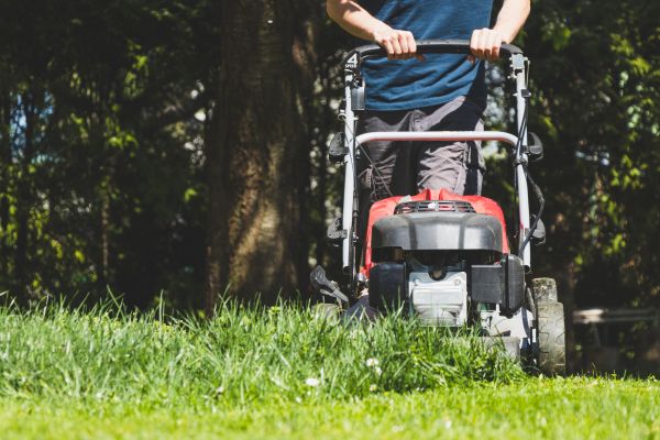 Garden Trimming Service in Poulsbo