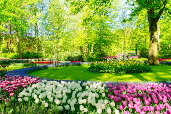 Flower Landscaping in Poulsbo