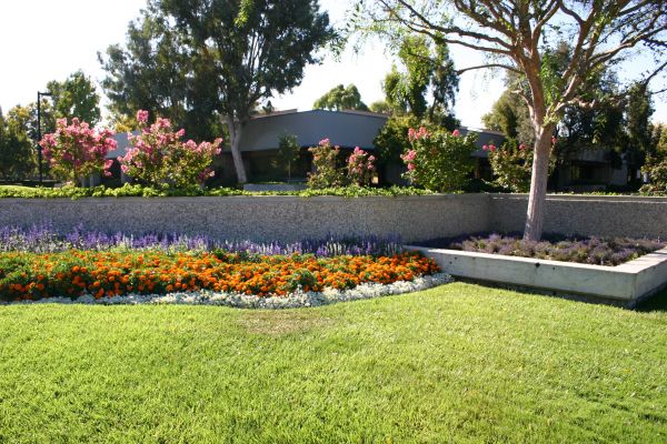 Commercial Landscape Service in Poulsbo