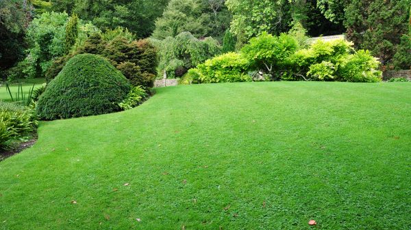 Commercial Landscape Design in Poulsbo