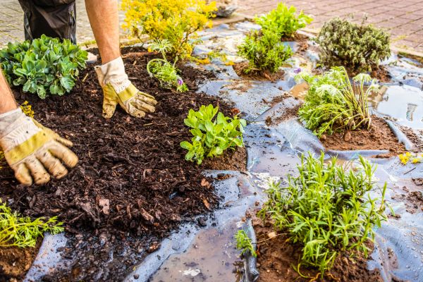 Mulch Fabric Installation in Poulsbo