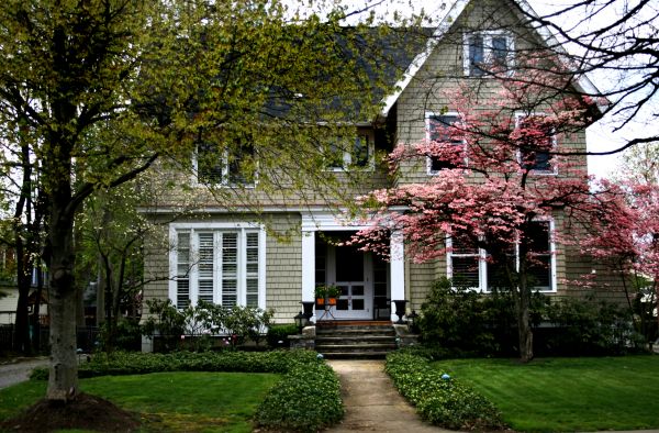 Ornamental Tree Planting in Poulsbo