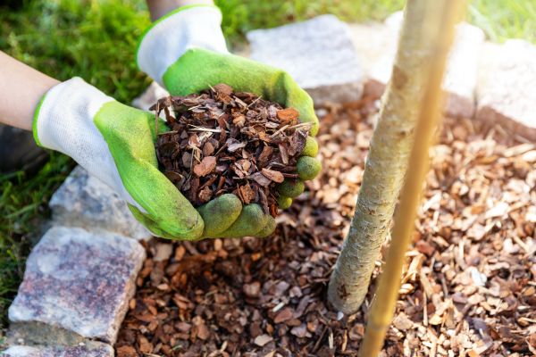 Tree Bark Delivery in Poulsbo
