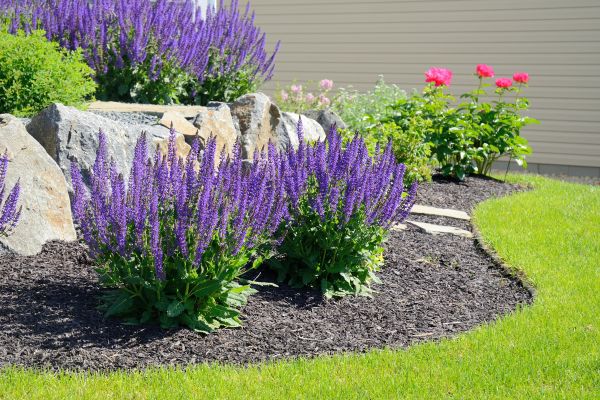 Landscape Planting Service in Poulsbo