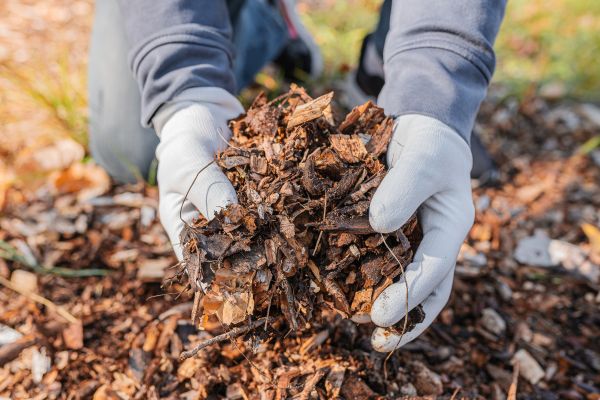 Shredded Mulch Installation in Poulsbo