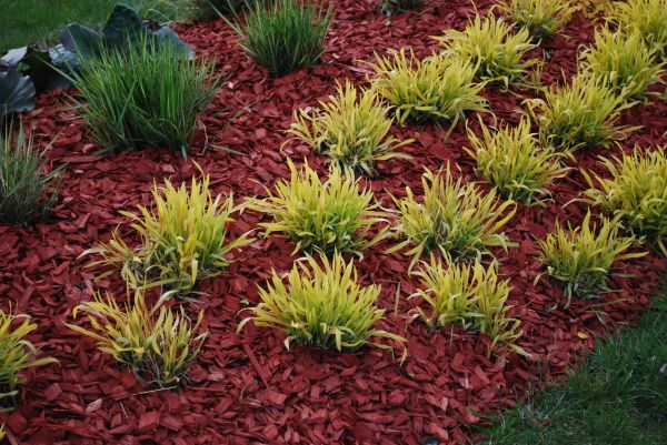 Red Mulch Installation in Poulsbo