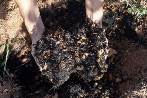 Organic Mulch Installation in Poulsbo