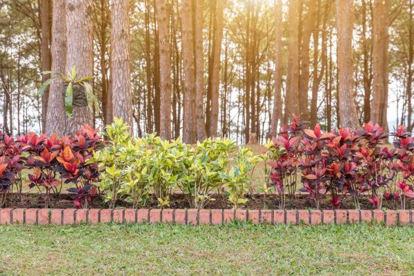 Small Garden Landscaping in Poulsbo