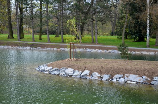 Pond Landscaping Service in Poulsbo