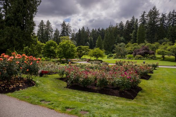 Flower Garden Landscaping in Poulsbo