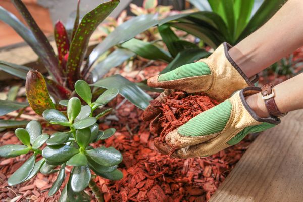 Cedar Mulch Installation in Poulsbo