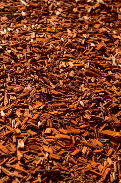 Cedar Mulch Spreading in Poulsbo