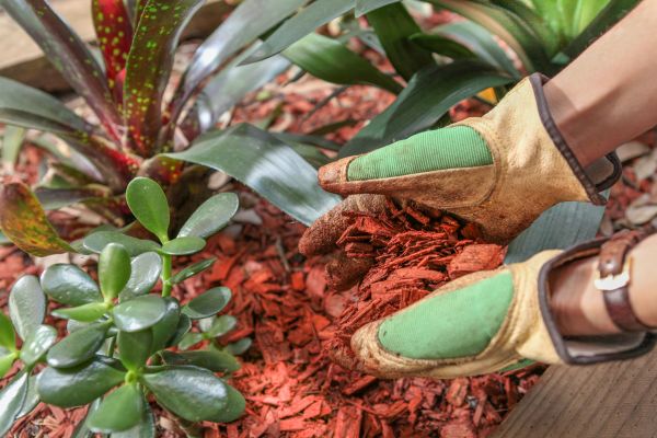 Residential Mulching in Poulsbo