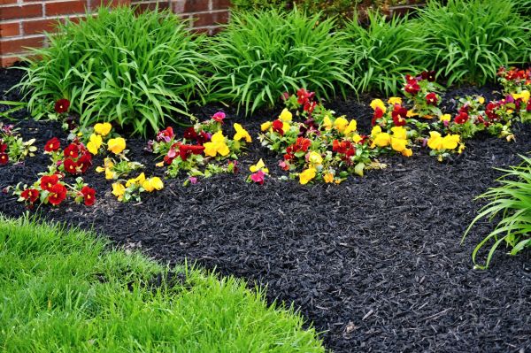 Apartment Mulching in Poulsbo