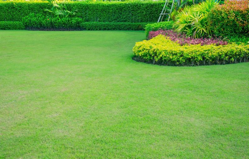 Lawn Bordering