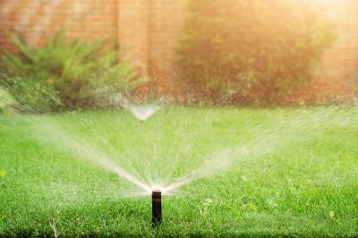 Winterized sprinkler system in spring